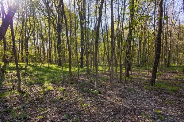 $220,000 | 52933 68th Avenue, Lawrence, MI 49064