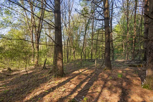 $220,000 | 52933 68th Avenue, Lawrence, MI 49064