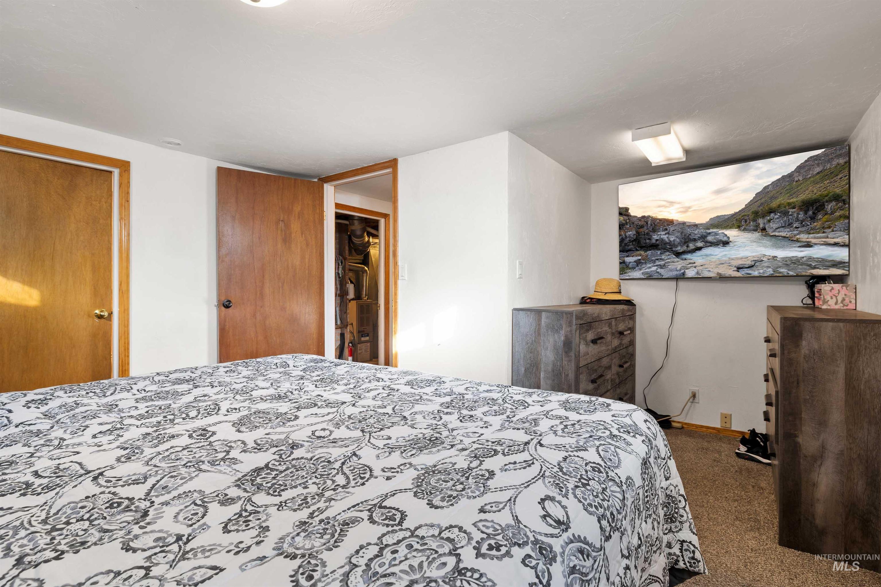 753 Ash Street Twin Falls, ID 83301 - Photo 11 of 25 Bedroom with a closet and carpet flooring