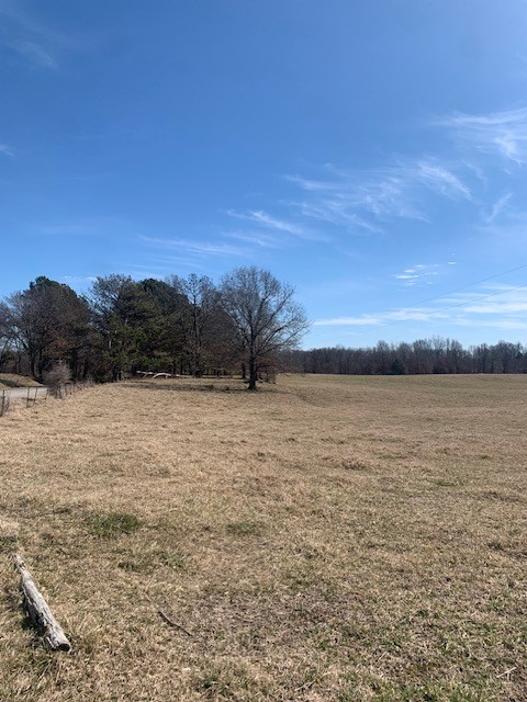 0 Bible Union Road Martin, TN 38237 - Photo 3 of 11 Gallery Image 3