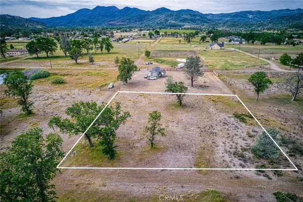 a view of a lake with a yard and a large tree