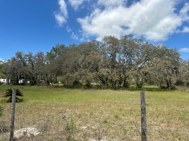 29707 Cooper Road Wesley Chapel, FL 33545 - Photo 3 of 6 a view of a field with trees in the background