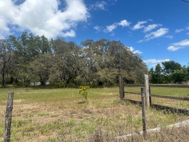 29707 Cooper Road Wesley Chapel, FL 33545 - Photo 4 of 6 a backyard of a house with lots of green space