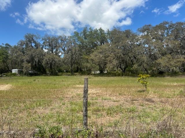 29707 Cooper Road Wesley Chapel, FL 33545 - Photo 5 of 6 a view of a yard