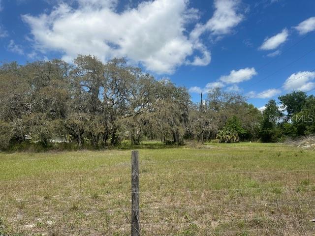 29707 Cooper Road Wesley Chapel, FL 33545 - Photo 6 of 6 a view of a field with an trees