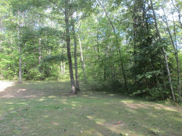 12290 Nickerson Valley Road Atlanta, MI 49709 - Photo 13 of 26 Gallery Image 13