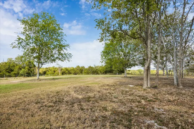 a view of a field with trees in the background