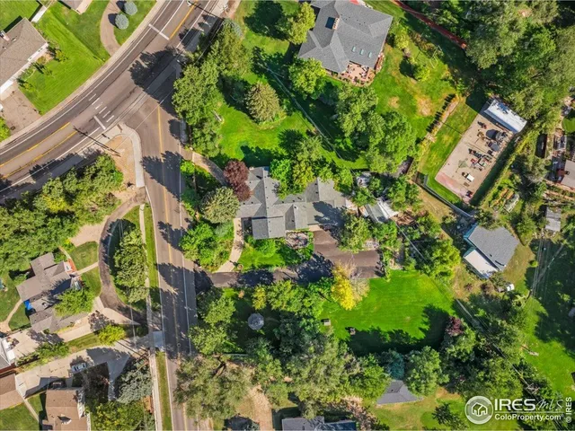 a plant that is sitting in a garden