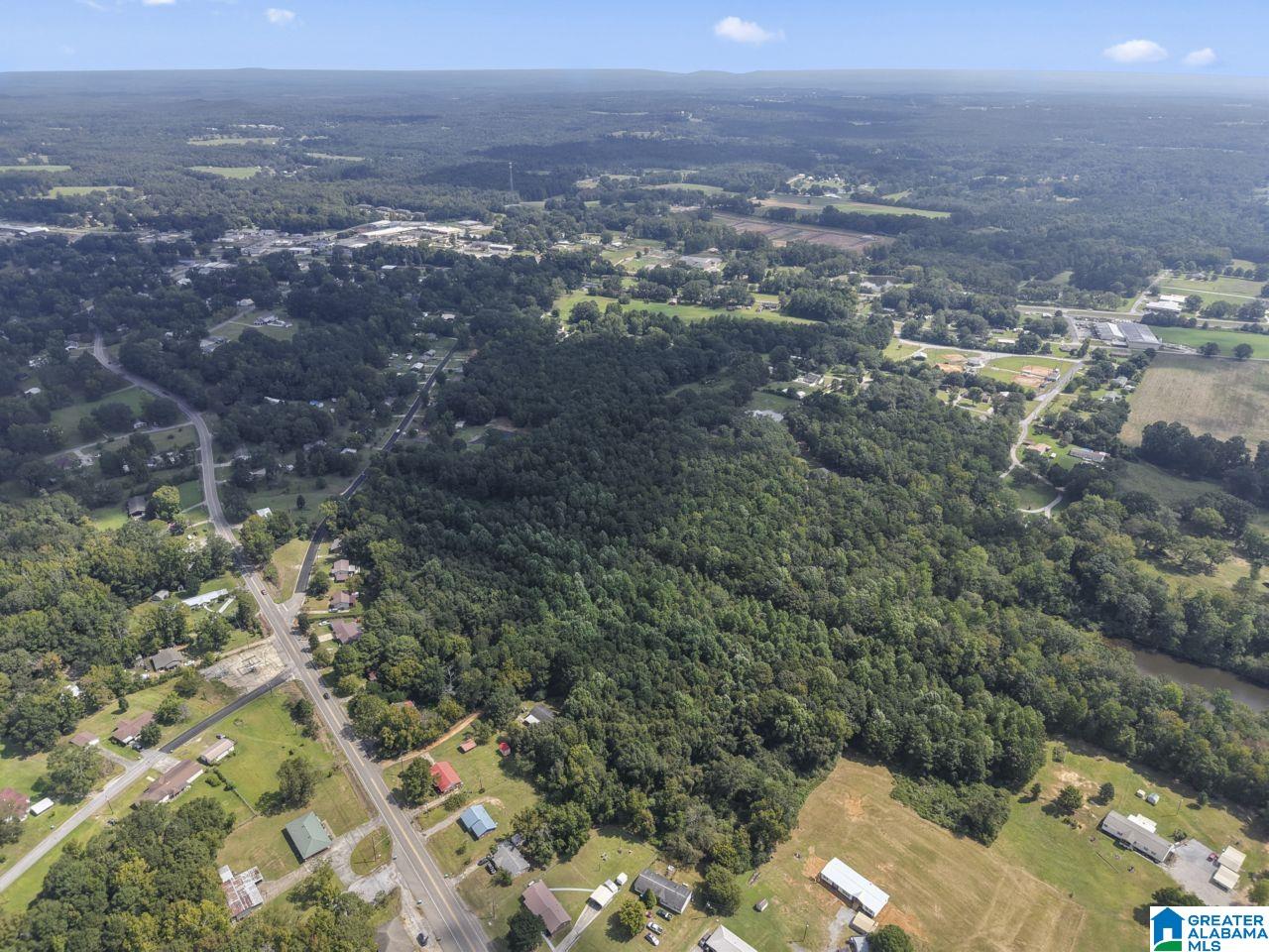 0 Sycamore Street, Unit 1 Jemison, AL 35085 - Photo 3 of 25