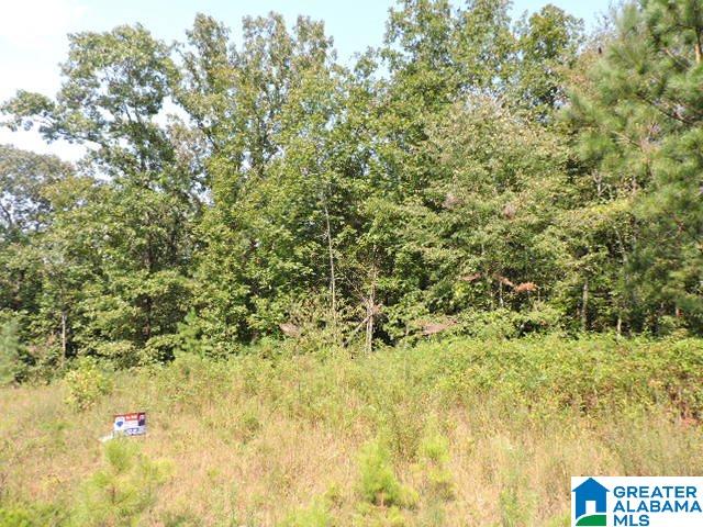 Brookwater Pointe, Unit 31 Wedowee, AL 36278 - Photo 4 of 6