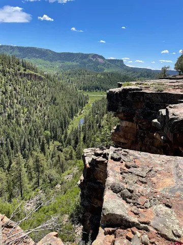a view of a yard with trees