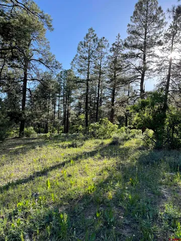 a view of an outdoor space with mountain view