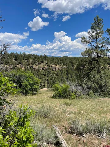 a view of a yard with a tree