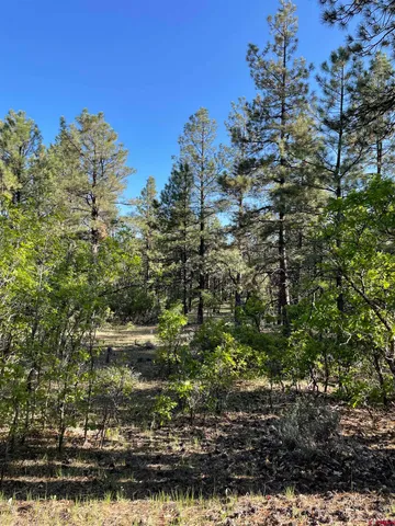 a view of a city with lush green forest