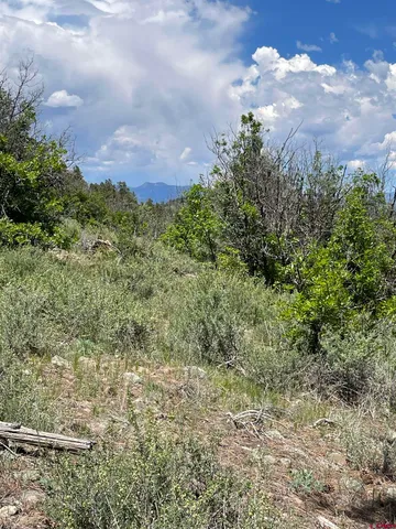 a view of a dry yard covered with snow