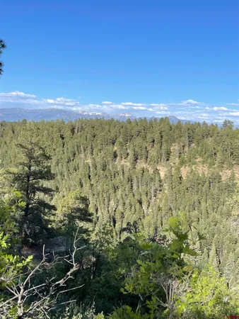 $600,000 | 160 West Pagosa Springs, Pagosa Springs, CO 81147