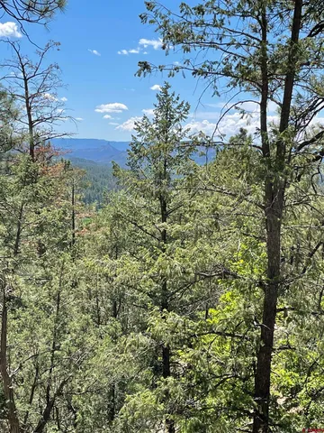 a view of a large yard with lots of green space