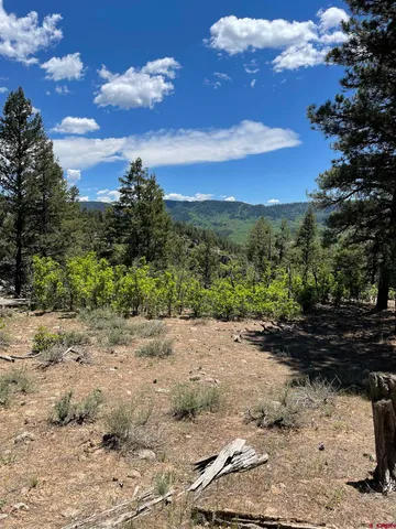 a view of a yard with a tree