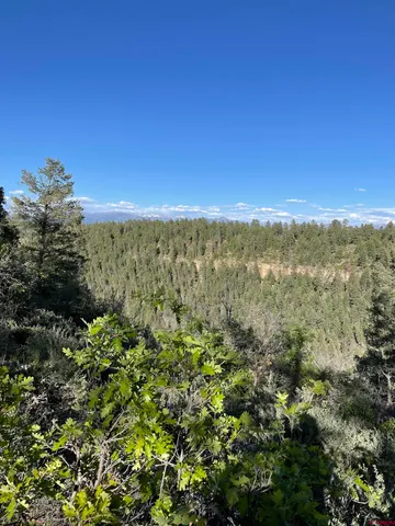 a view of city and green space