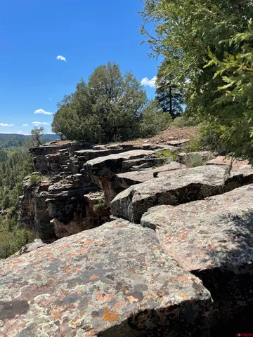 a view of outdoor space with trees