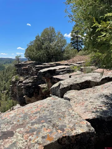 a view of outdoor space with trees