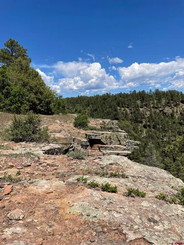 a view of a yard with an outdoor seating