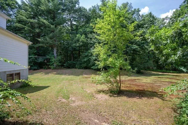 a view of a yard with plants and trees