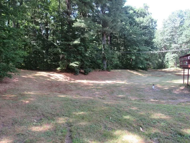 a view of a yard with a tree