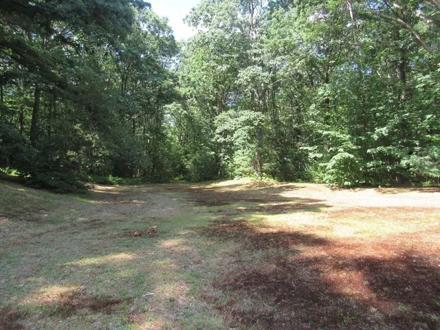 a view of a yard with large trees