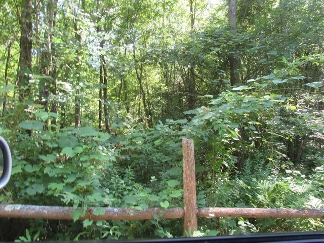 a view of an outdoor space with a lake view