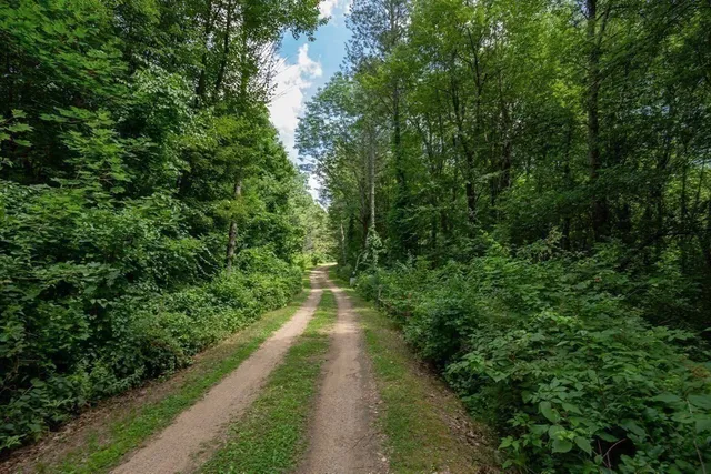 a view of a pathway of a park