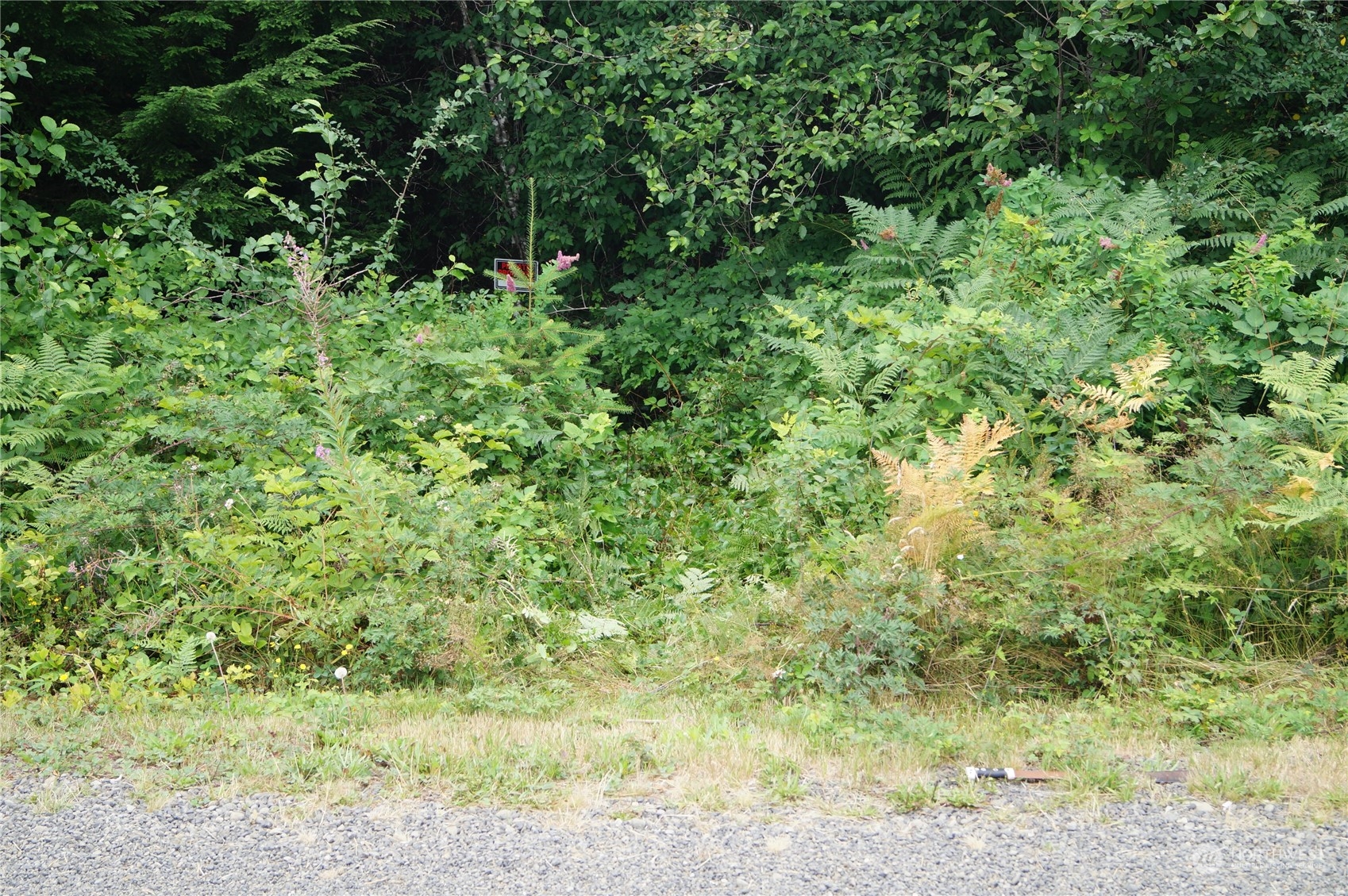 74 Axford Prairie Lane Hoquiam, WA 98550 - Photo 3 of 7 Gallery Image 3