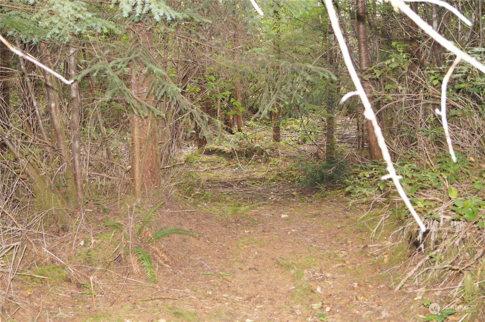 74 Axford Prairie Lane Hoquiam, WA 98550 - Photo 4 of 7 Gallery Image 4