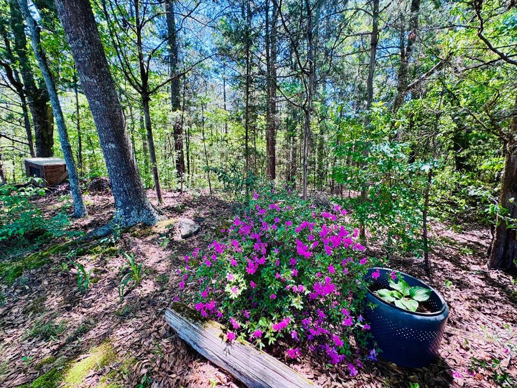 3062 Horseshoe Road Iva, SC 29655 - Photo 31 of 44