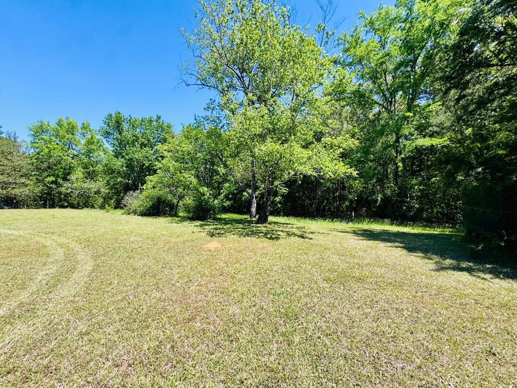 3062 Horseshoe Road Iva, SC 29655 - Photo 39 of 44