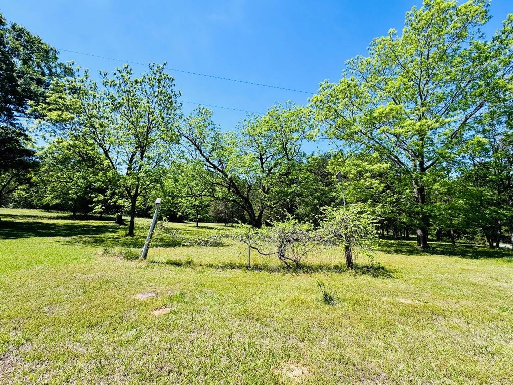 3062 Horseshoe Road Iva, SC 29655 - Photo 40 of 44