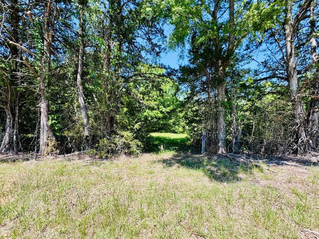 3062 Horseshoe Road Iva, SC 29655 - Photo 41 of 44