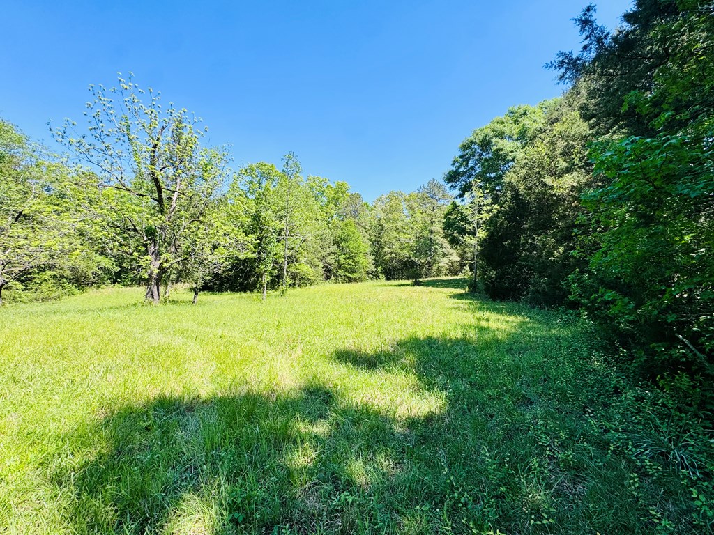 3062 Horseshoe Road Iva, SC 29655 - Photo 42 of 44