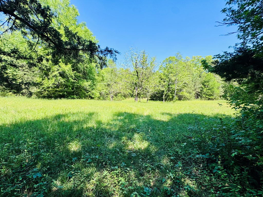 3062 Horseshoe Road Iva, SC 29655 - Photo 43 of 44