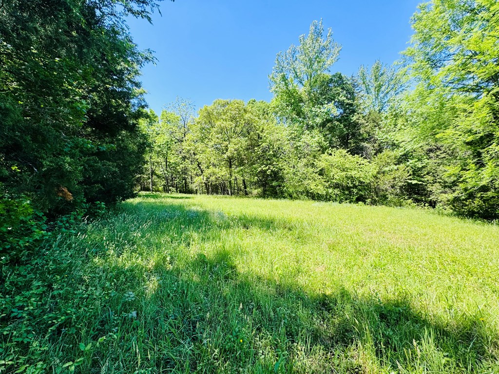 3062 Horseshoe Road Iva, SC 29655 - Photo 44 of 44
