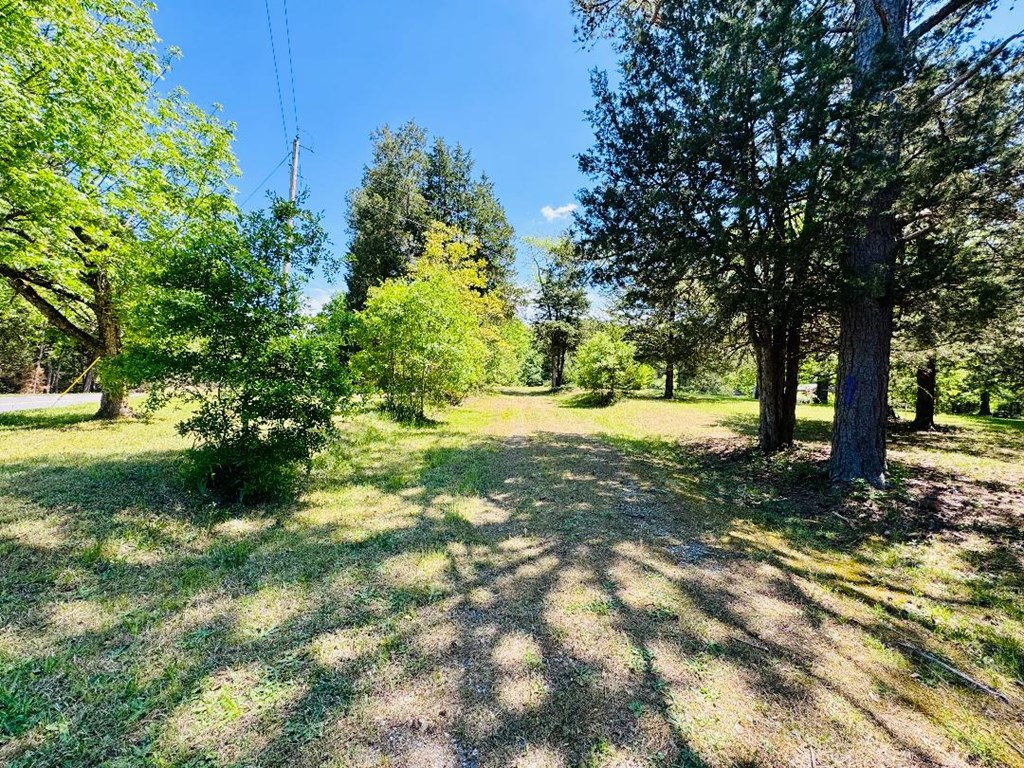 3062 Horseshoe Road Iva, SC 29655 - Photo 5 of 44