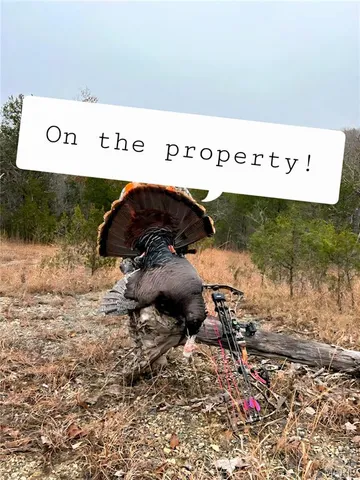 $94,500 | 3 Cedar Hollow Road, Fletcher, MO 63030