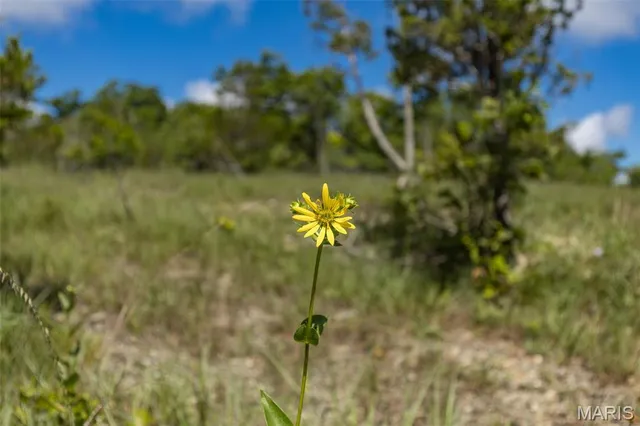 $94,500 | 3 Cedar Hollow Road, Fletcher, MO 63030