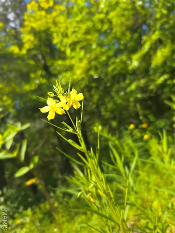 $94,500 | 3 Cedar Hollow Road, Fletcher, MO 63030