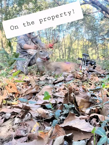 $94,500 | 3 Cedar Hollow Road, Fletcher, MO 63030