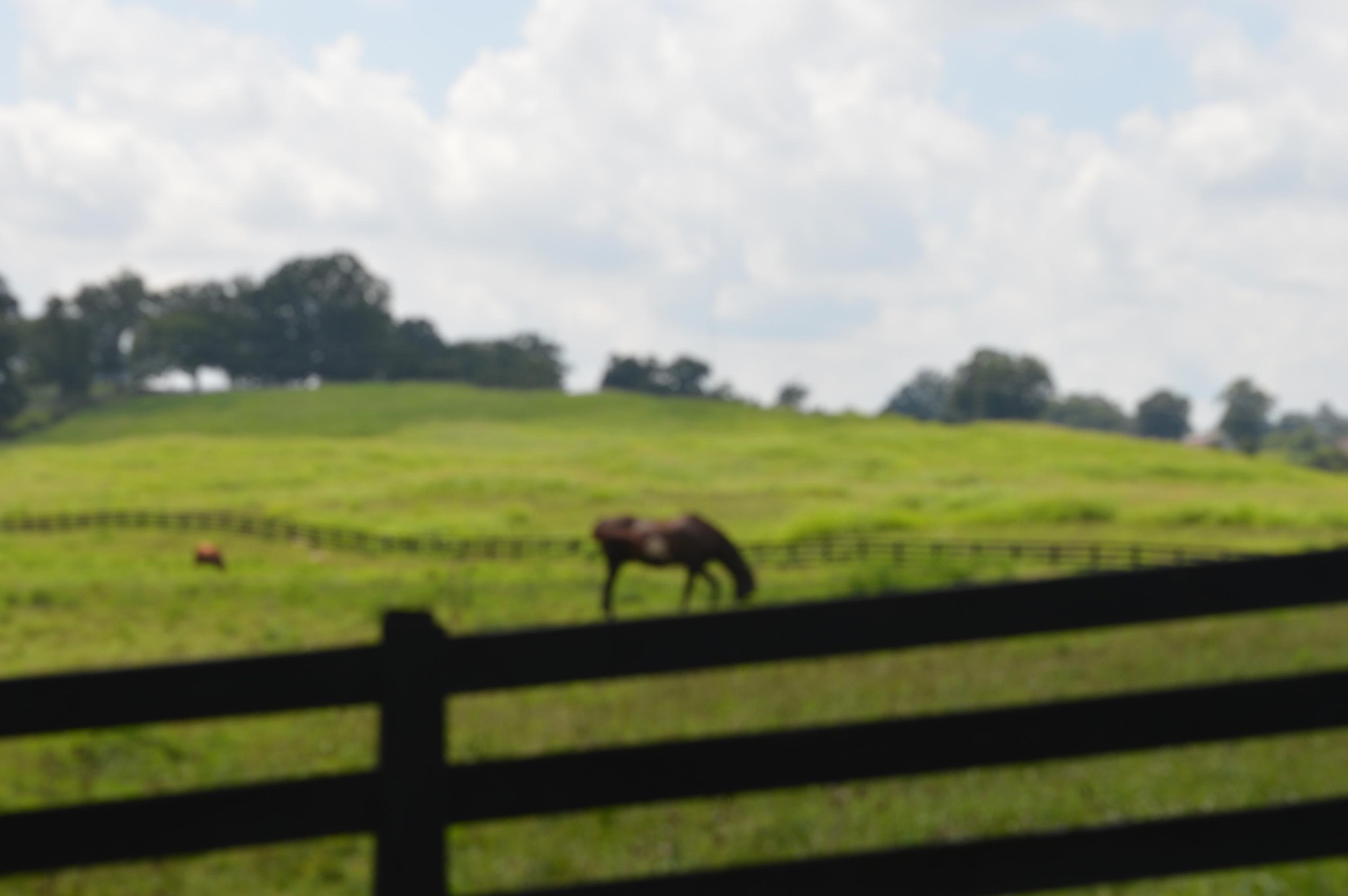 0 Ranch Road Blaine, TN 37709 - Photo 6 of 9 Gallery Image 6