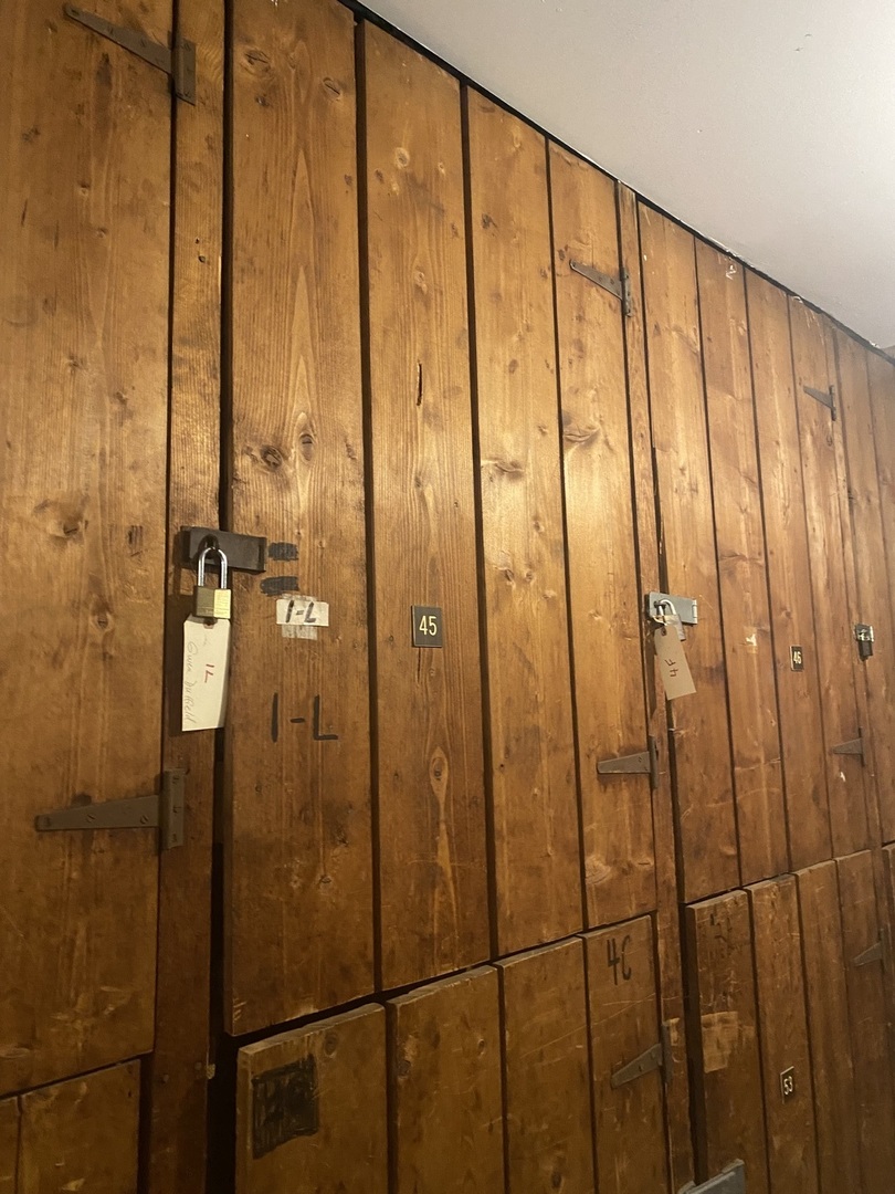 737 Ridge Avenue, Unit 1L Evanston, IL 60202 - Photo 14 of 14 a bathroom with a shower