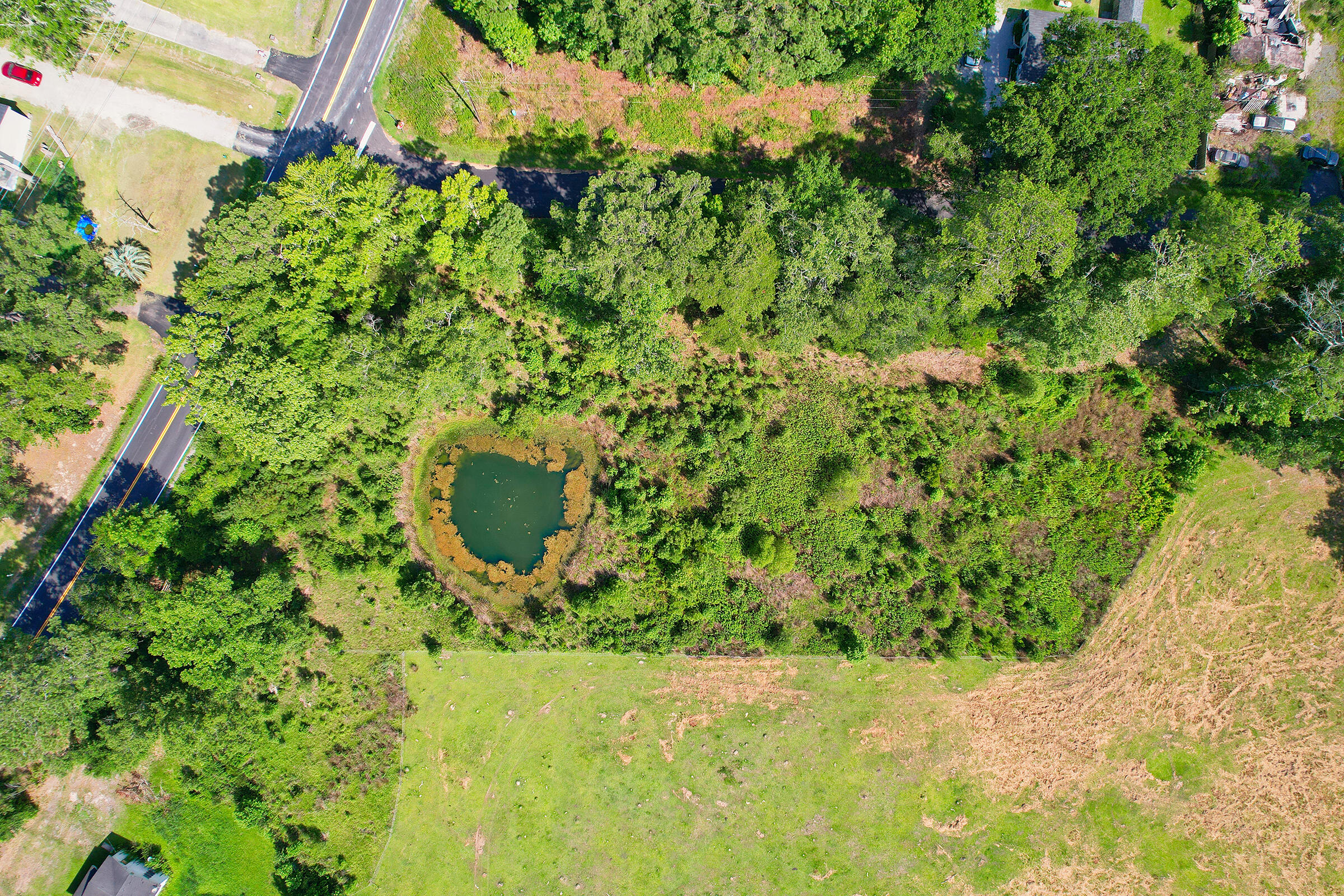 4110 Pine Hill Road Ravenel, SC 29470 - Photo 28 of 29 DJI_0039