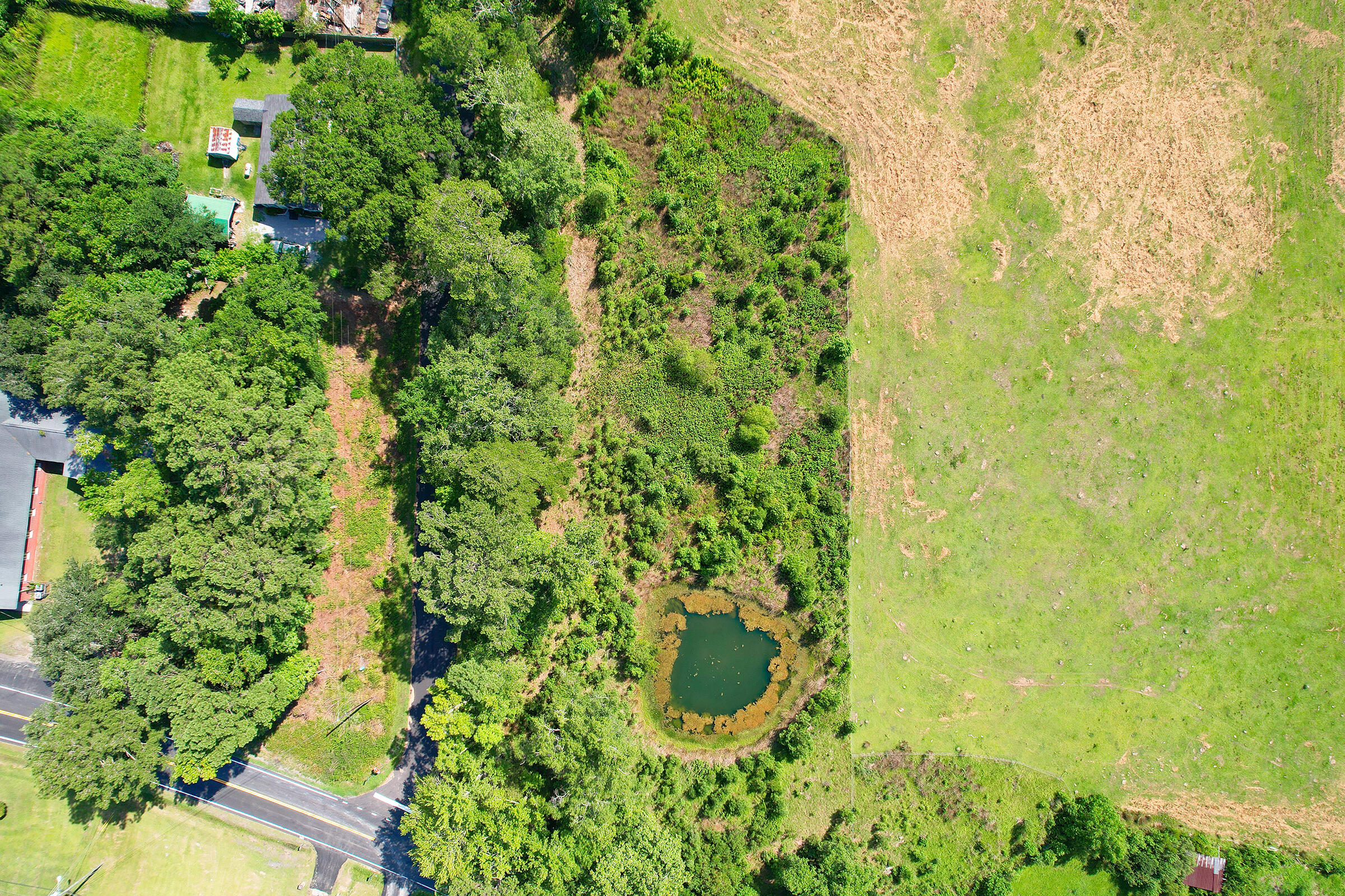 4110 Pine Hill Road Ravenel, SC 29470 - Photo 29 of 29 DJI_0040