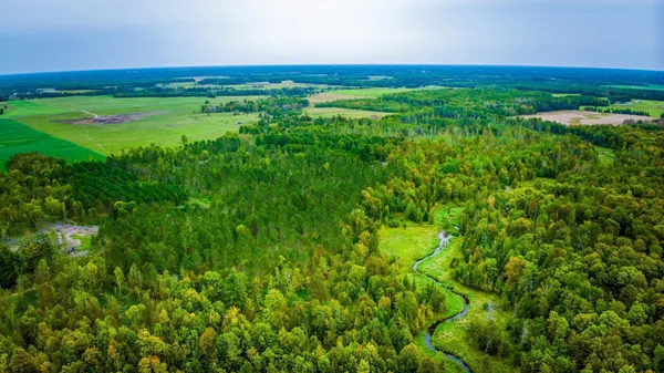 $65,000 | Lot 1 North Blackduck Lake Road Northeast, Blackduck, MN 56630